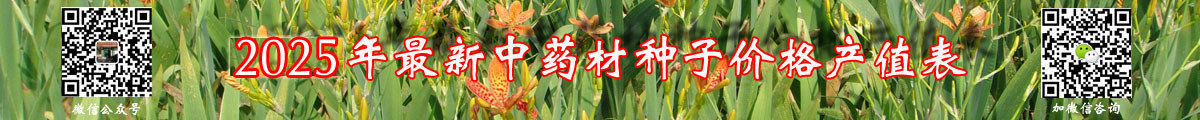 ˎķNӃr
